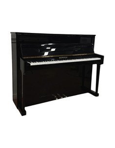 Piano Rippen Allegro profil