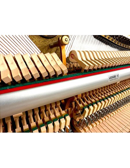 Piano Rippen Allegro mécanique