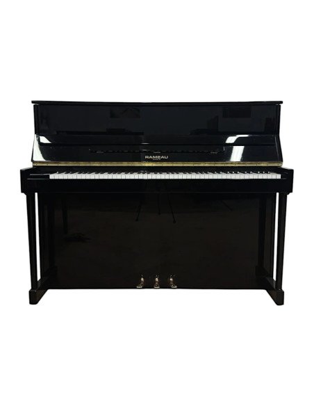Piano Rameau 116 Camargue Renner ouvert