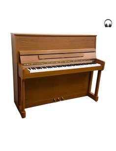 Piano Rieger Kloss 117 Galaxy silent profil