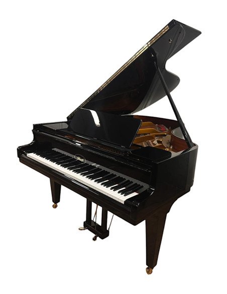 Piano Ibach FII profil