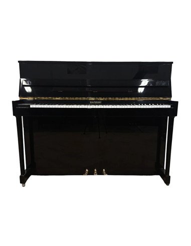 Piano Rameau 118 Cévennes ouvert