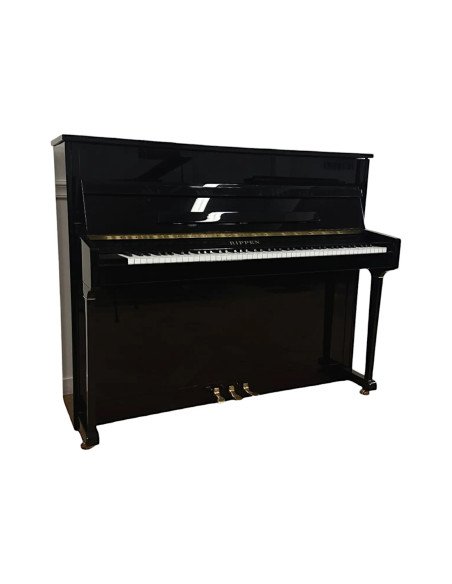 Piano Rippen Concerto profil