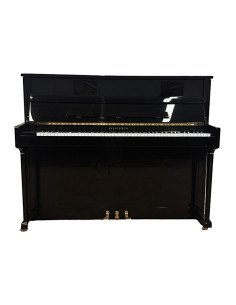 Piano Rippen Concerto profil 2