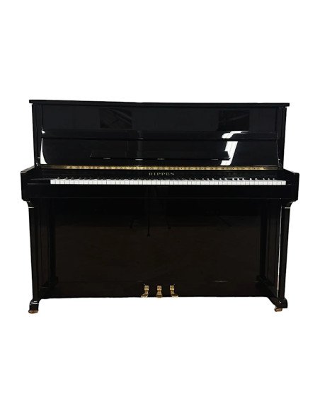 Piano Rippen Concerto ouvert