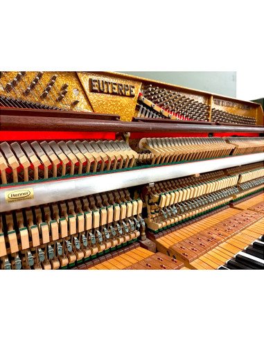 Piano Euterpe 117 vert romarin mat mécanique