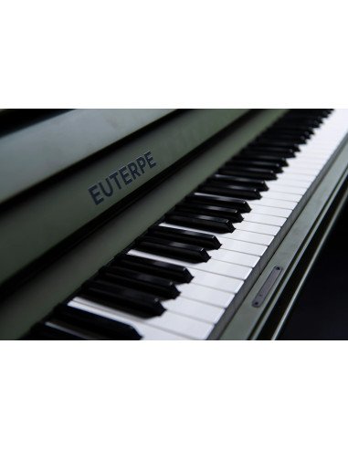 Piano Euterpe 117 vert romarin mat zoom