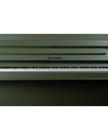 Piano Euterpe 117 vert romarin mat face
