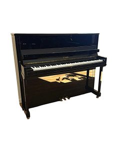 Piano Euterpe 120 profil