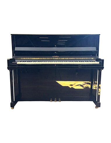 Piano Euterpe 120 clavier