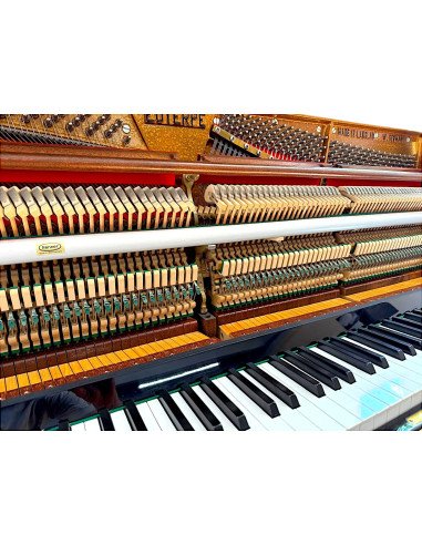 Piano Euterpe 120 mécanique