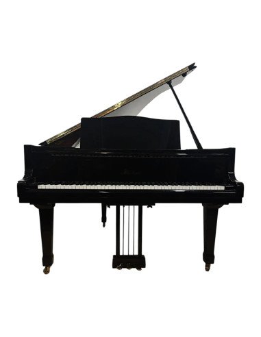 Piano Blüthner Model 6 ouvert