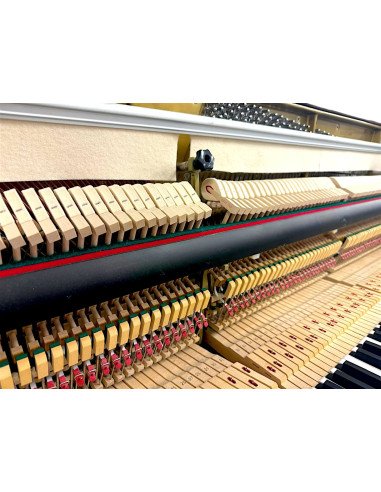 Piano Euterpe 108 M mécanique