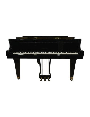 Piano Pleyel Schimmel Vendôme 172 face