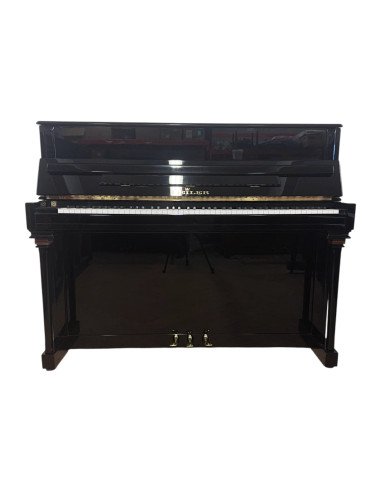 Piano Seiler 118 Amazone ouvert