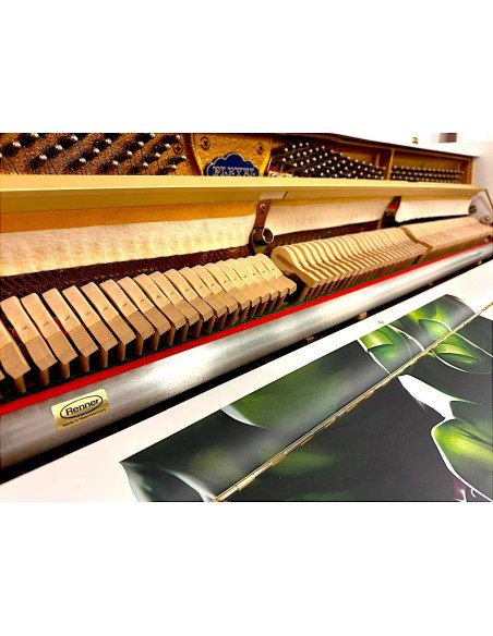 Piano Pleyel Schimmel Monceau Toon's mécanique
